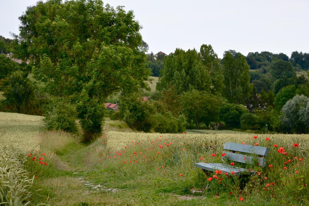 Chambres D'Hotes, Gites La Petite Madeleine La Madelaine-sous-Montreuil Exteriér fotografie
